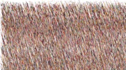 wild :: rabidscratcher1
