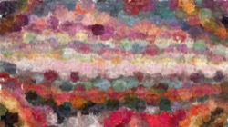 fun pack 2 :: wetbloomer1