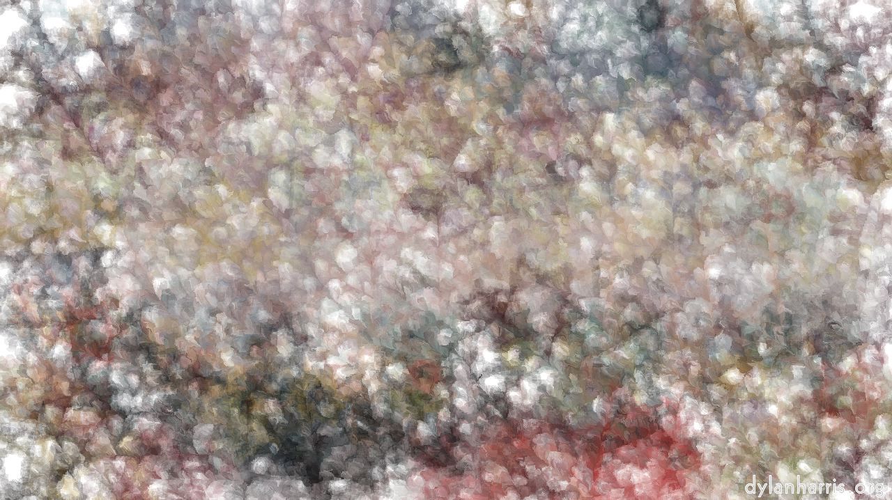 snoflakes3