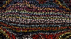 gridscan exps 2 :: bubblesblackedges1