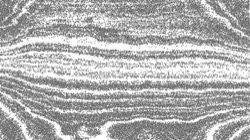 Image: image from mezzo paint exp 1