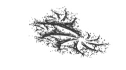 msg line to scan :: msgscanexp1