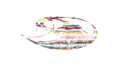 msg line to scan :: pickoverpaint1