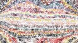 msg live source brush :: msglivesbt11b