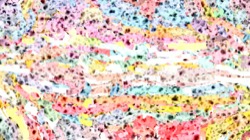 new msg paint :: msglines3