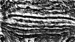 new sketch :: ruttextraesk2startfromwhite