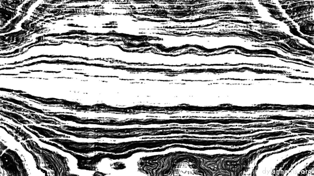 contrastsketch6