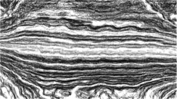 pencil sketch :: edgesketch1