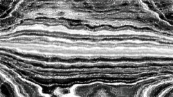 pencil sketch :: nolightsmear