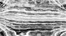 pencil sketch :: nolightsmear2