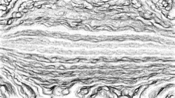 pencil sketch :: sketchrough3