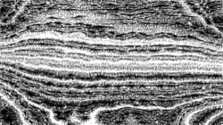 pencil sketch :: sketchrough9