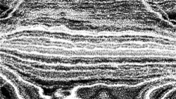 pencil sketch :: varsize1