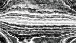 pencil sketch :: veryroughwlummatch