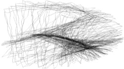 procedural abstraction exp :: bwchaos1