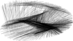procedural abstraction exp :: bwchaos3