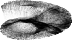 procedural abstraction exp :: bwchaos4a