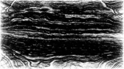 procedural abstraction exp :: bwedgeefx1