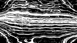 regionisers 3 :: bwditherpaint2