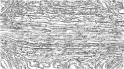 Image: image from sketch