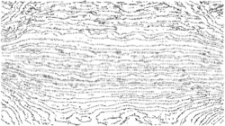 Image: image from sketch