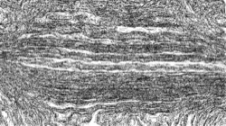 Image: image from sketch