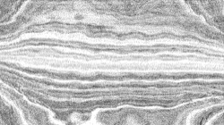 sketch ideas :: edsketch3