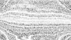 sketch ideas :: realroughbwtexture2