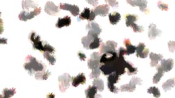 watercolour 3 :: tiltflowfringing1b