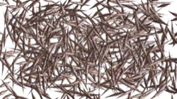 active draw manual :: fireworks2