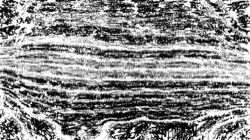 autoscan :: fineroughregionisebwsketch1