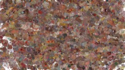 bubbly :: glitter1