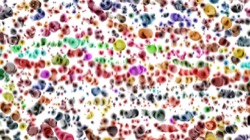 cloners wacky :: splotchyscan1