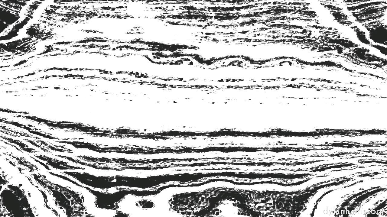 bwpencilroughin2