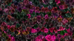 textured strokes :: p7