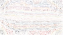 whispy attractors :: whispy5a