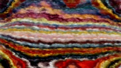 wild :: decorative1