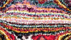 wild :: spattery1