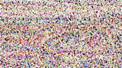 wild :: splotchy1