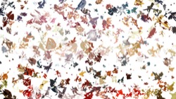 msg attractor ex :: zabstractiontest1