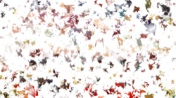 msg attractor ex :: zabstractiontest1a