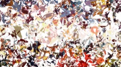 msg attractor ex :: zabstractiontest2b
