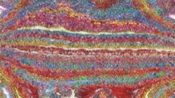 msg attractor ex :: zabstractiontest4pressureh