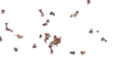 new1 :: aaparticlepenex2b
