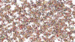 new1 :: aaparticlepenex3a