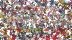 new1 :: aaparticlepenex4