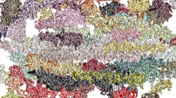 new1 :: complexregionstroke1