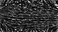 new2 :: taperedsimpleaastroke1