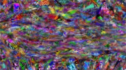 region fill brush movie test :: movtest2