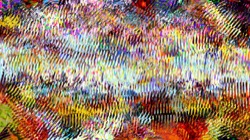 region fill brush movie test :: movtest5